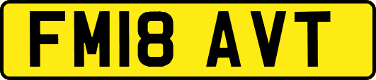 FM18AVT