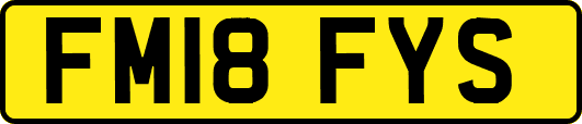 FM18FYS