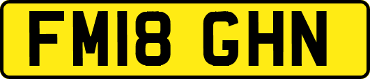 FM18GHN