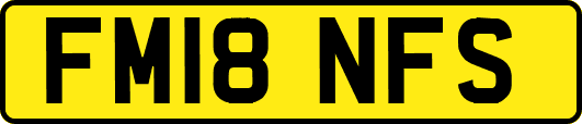 FM18NFS