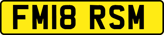 FM18RSM