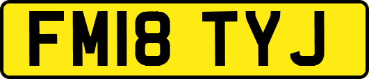 FM18TYJ