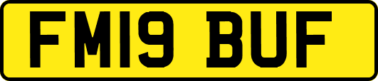 FM19BUF