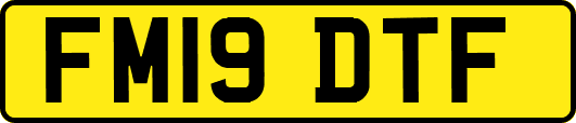 FM19DTF