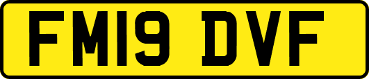 FM19DVF