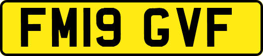 FM19GVF