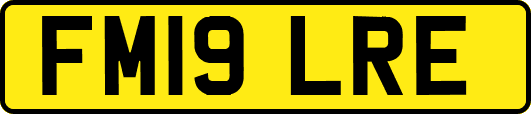 FM19LRE