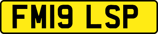 FM19LSP