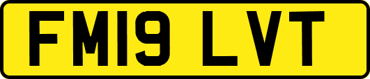 FM19LVT