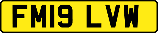 FM19LVW