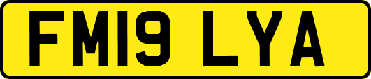FM19LYA