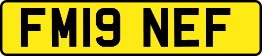 FM19NEF