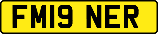 FM19NER