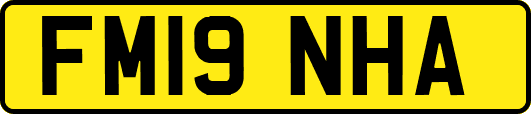 FM19NHA