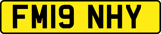 FM19NHY