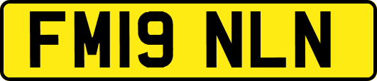 FM19NLN