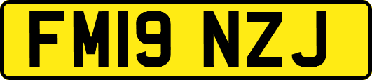 FM19NZJ