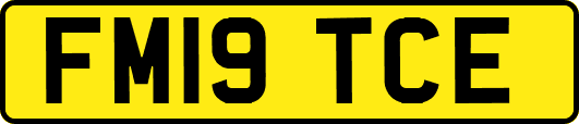 FM19TCE
