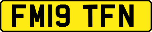 FM19TFN