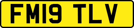 FM19TLV