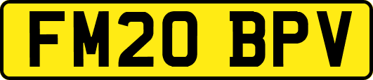 FM20BPV