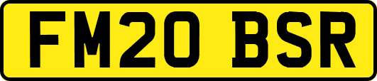 FM20BSR
