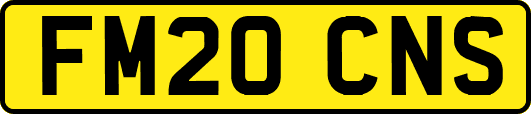 FM20CNS
