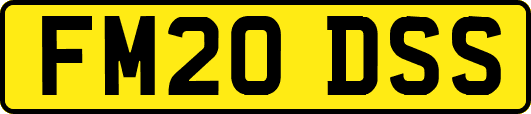 FM20DSS