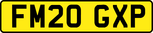 FM20GXP