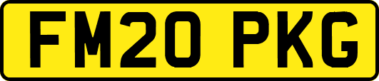 FM20PKG