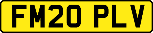 FM20PLV