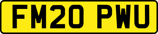 FM20PWU
