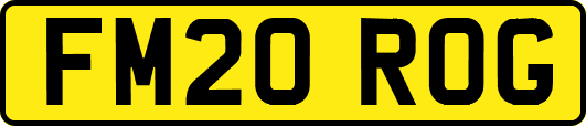 FM20ROG