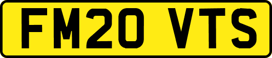 FM20VTS