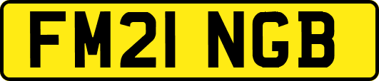 FM21NGB
