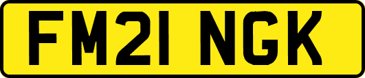FM21NGK