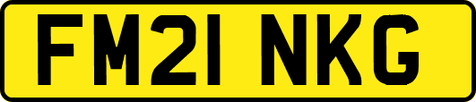 FM21NKG