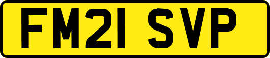 FM21SVP
