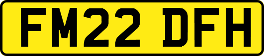 FM22DFH