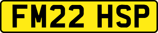 FM22HSP