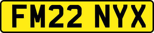 FM22NYX