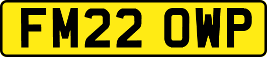 FM22OWP