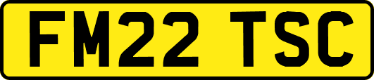 FM22TSC