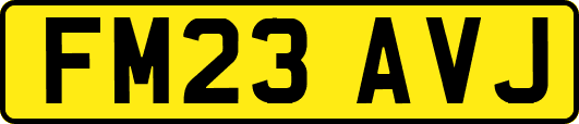 FM23AVJ