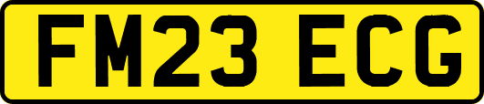 FM23ECG