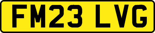 FM23LVG