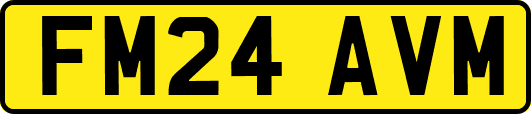 FM24AVM
