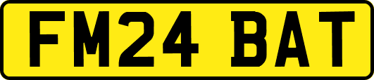 FM24BAT