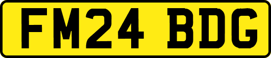 FM24BDG