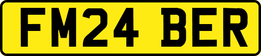 FM24BER